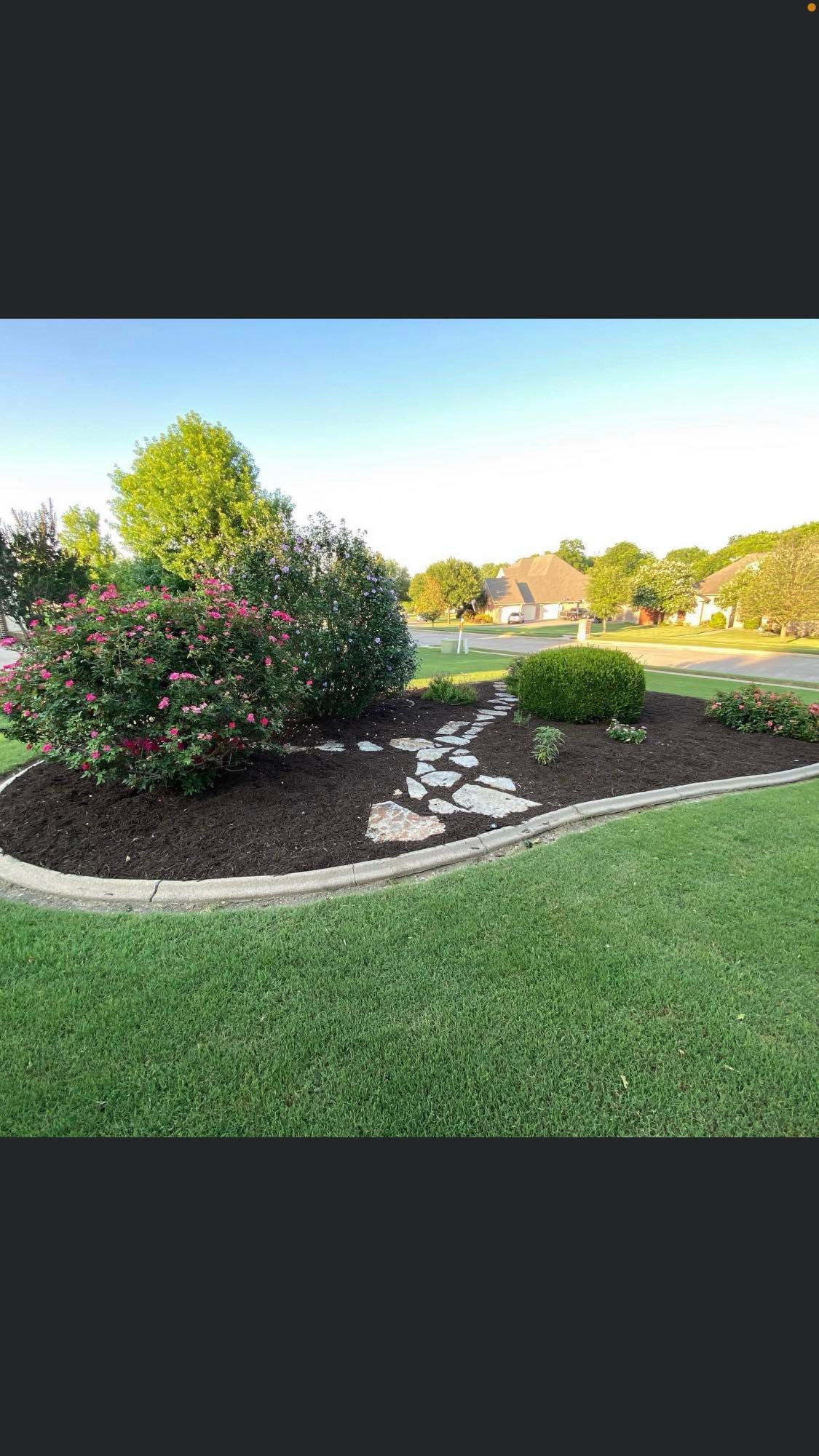 Curved garden bed with dark mulch, stepping stones, and flowering shrubs along a green lawn