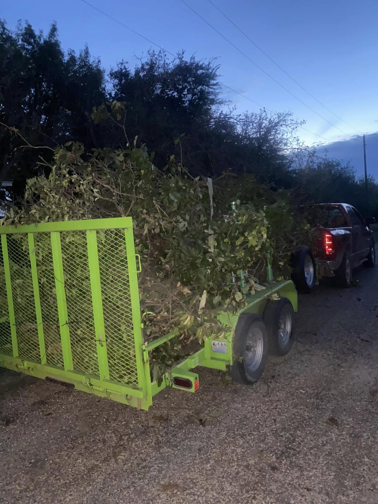 Utility trailer loaded with cut tree branches and leafy brush at dusk